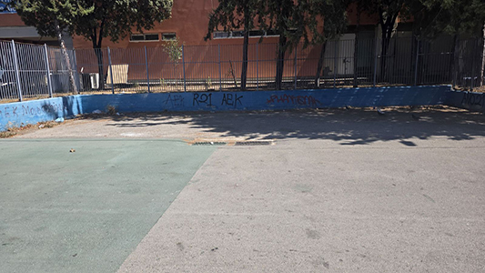 SXOLEIO601.jpg